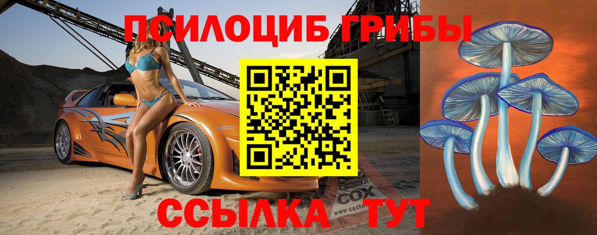 Кудрово  Галлюциногенные грибы Cubensis  Галлюциногенные грибы Psilocybe  что такое   Вход с VPN 