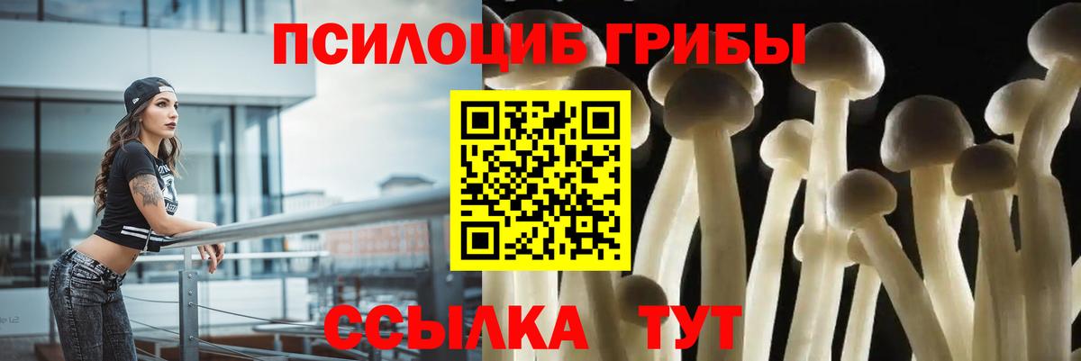 Псилоцибиновые грибы мухоморы Кудрово